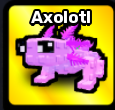 Axolotl Pet