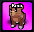 Bear Pet