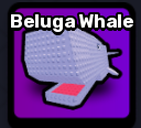 Beluga Whale Pet