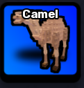 Camel Pet