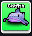 Catfish Pet