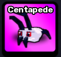 Centapede Pet