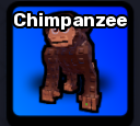 Chimpanzee Pet