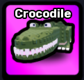 Crocodile Pet