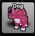 Dog Pet