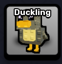 Duckling Pet