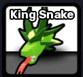 King Snake Pet