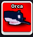 Orca Pet