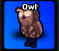 Owl Pet