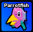 Parrotfish Pet