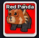 Red Panda Pet