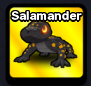 Salamander Pet