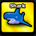 Shark Pet
