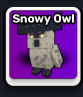 Snowy Owl Pet