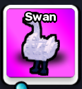 Swan Pet