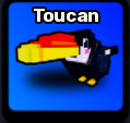 Toucan Pet