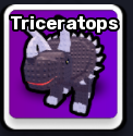 Triceratops Pet