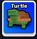 Turtle Pet