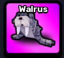 Walrus Pet