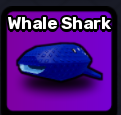 Whale Shark Pet